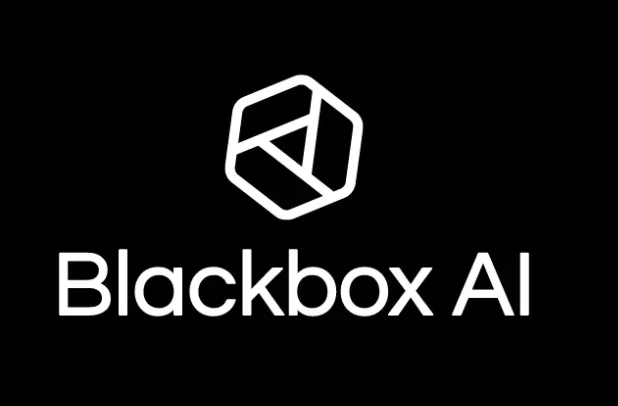 Blackbox Ai